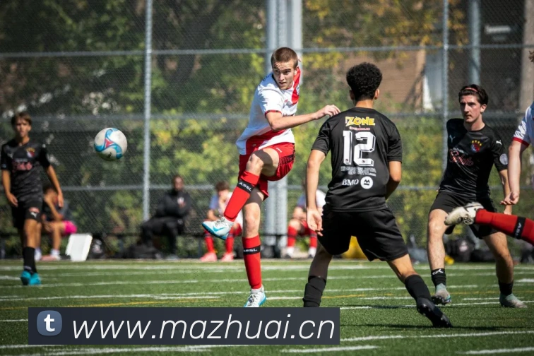 多媒体互动体验